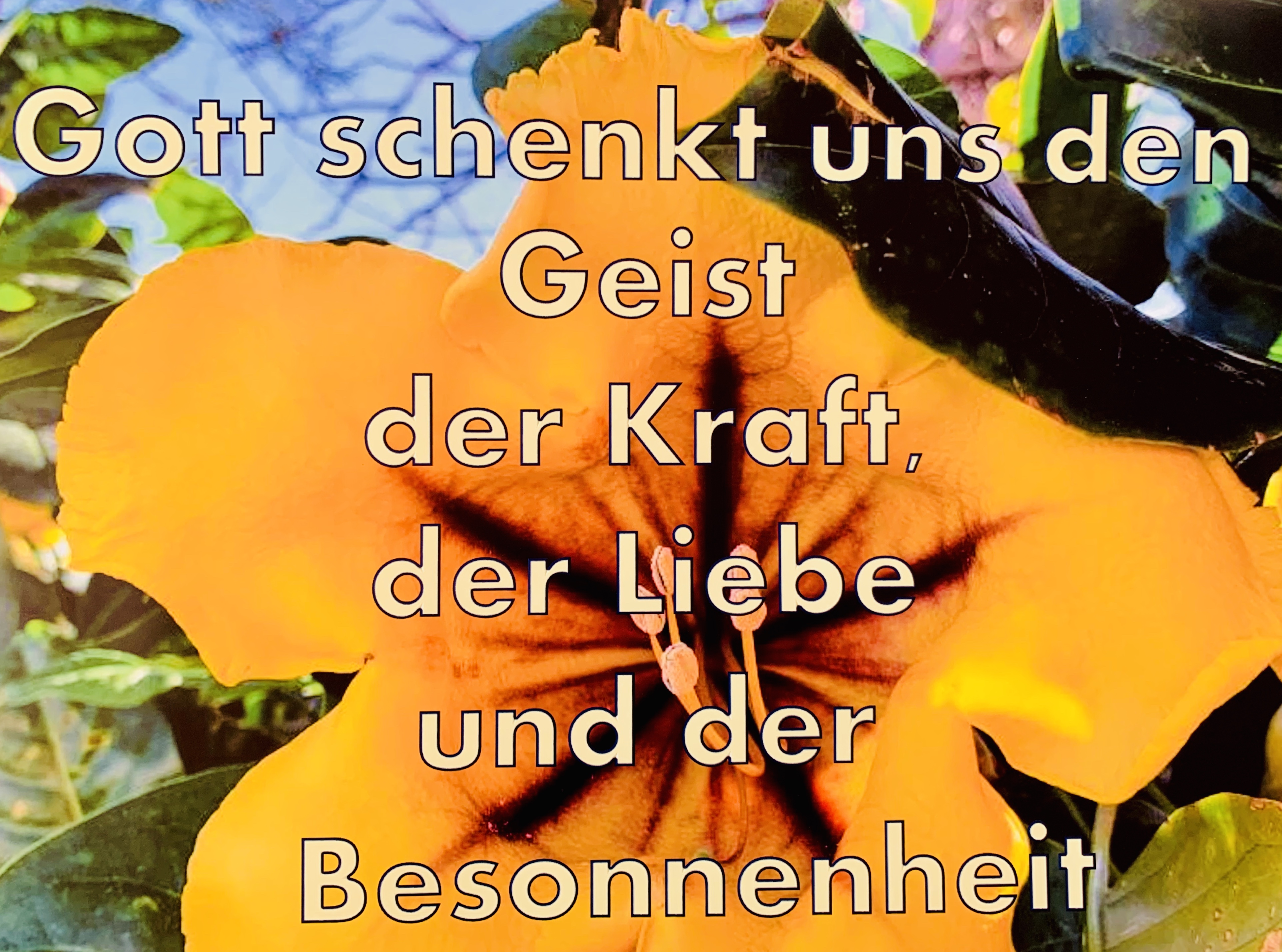 Blüte